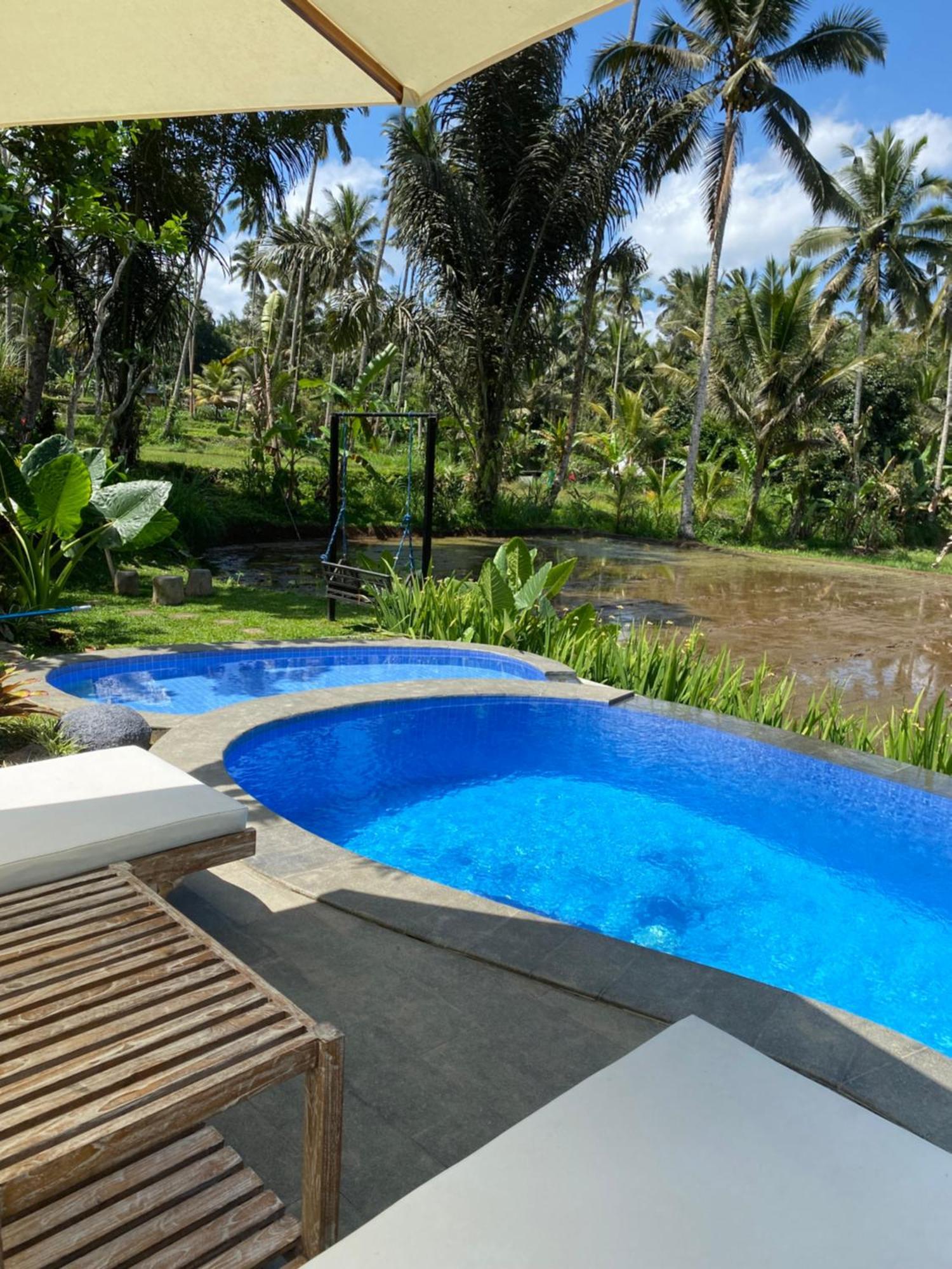 Lodge D'pondok Sangaji Ricefield View By Eps Penginyahan