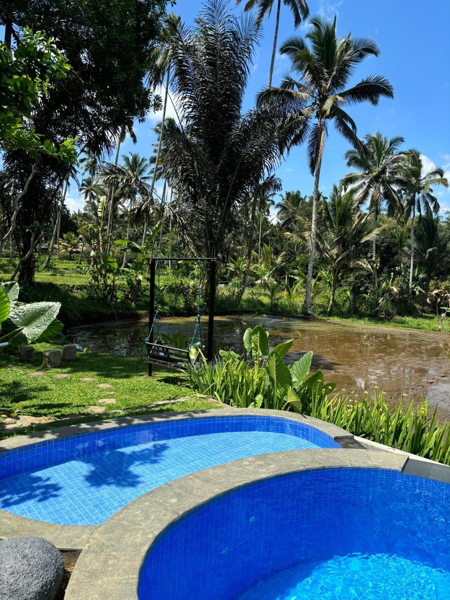 D'pondok Sangaji Ricefield View By Eps Lodge