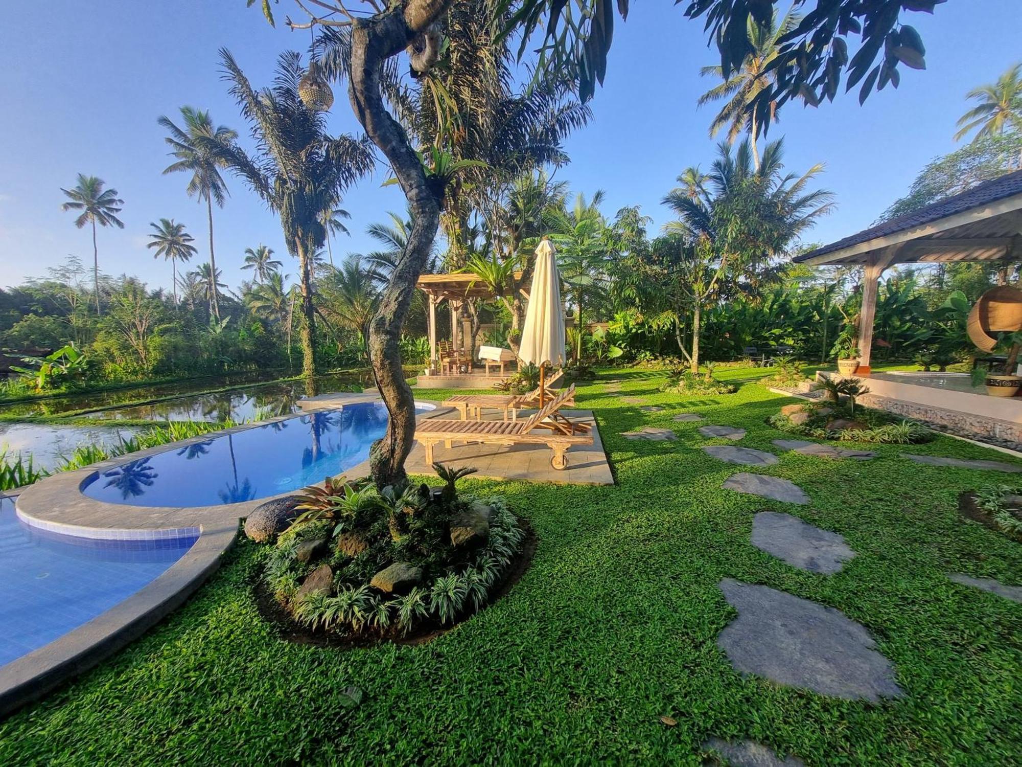 D'pondok Sangaji Ricefield View By Eps Penginyahan