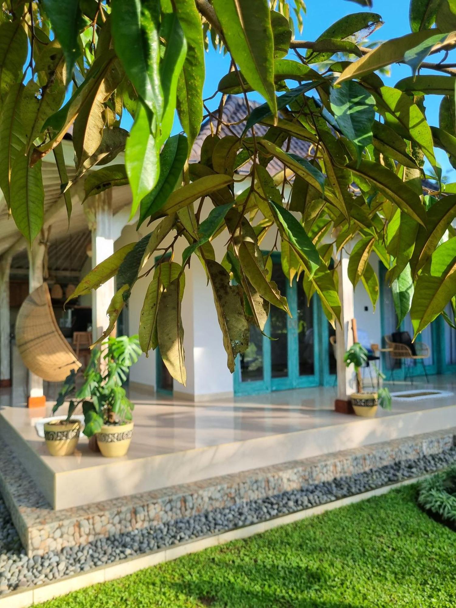 D'pondok Sangaji Ricefield View By Eps Lodge *
