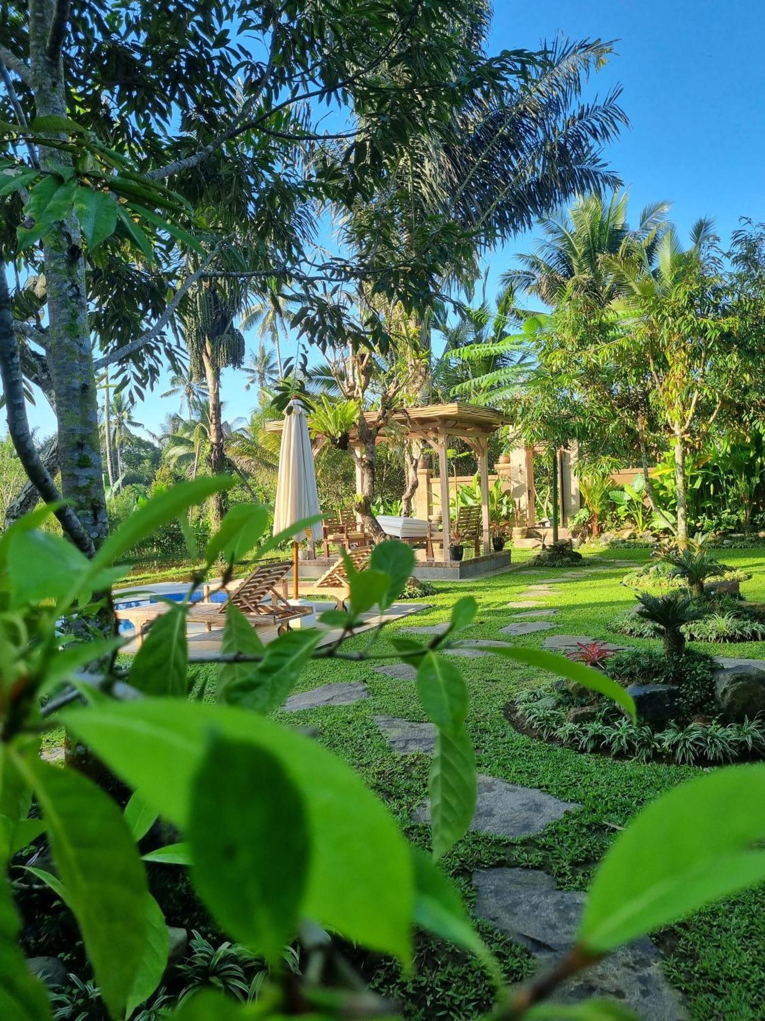 D'pondok Sangaji Ricefield View By Eps Lodge