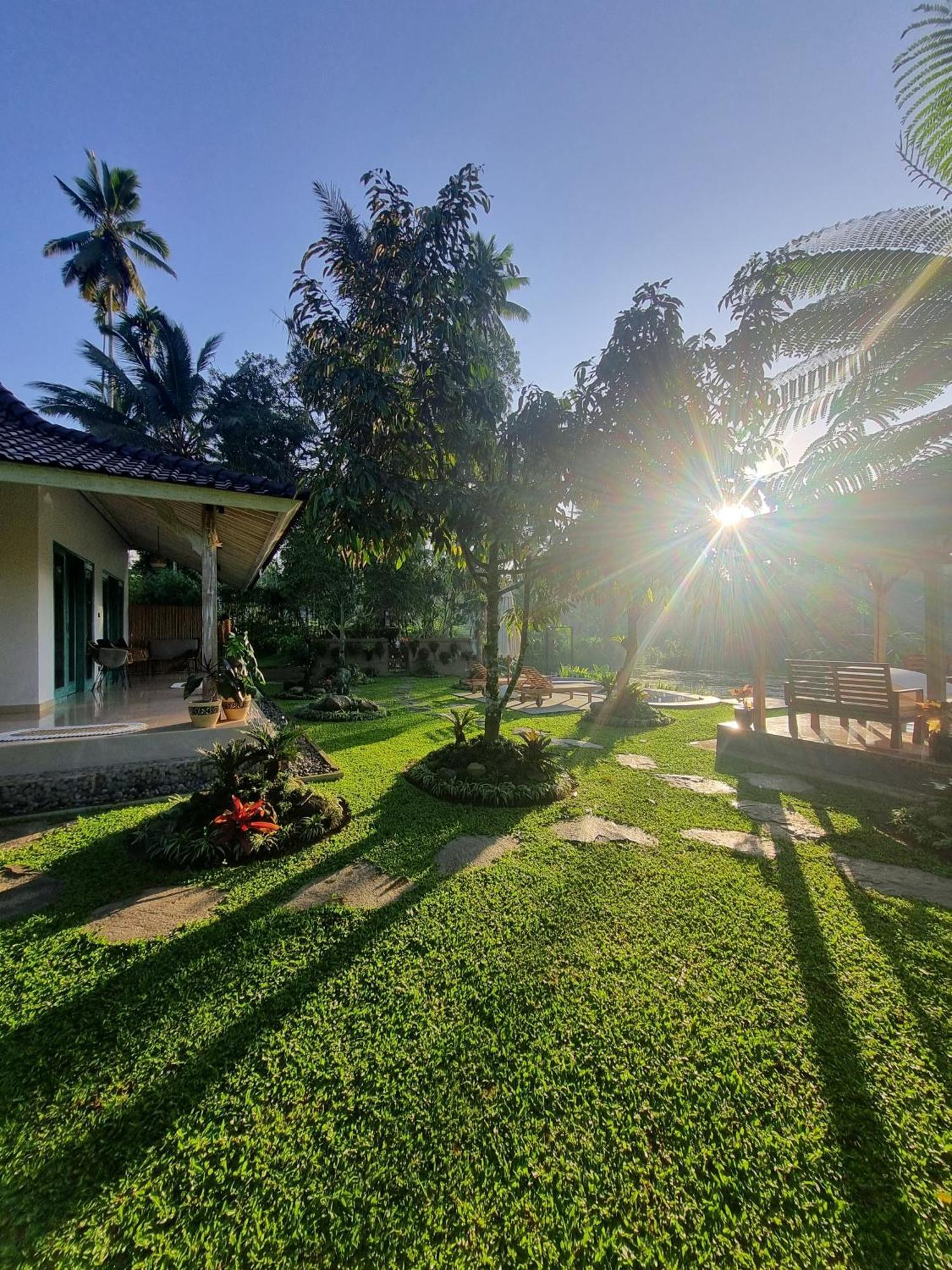 D'pondok Sangaji Ricefield View By Eps